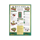 Billard Rules Poster in Green With Illustrated Billiard Tables and Game Diagrams