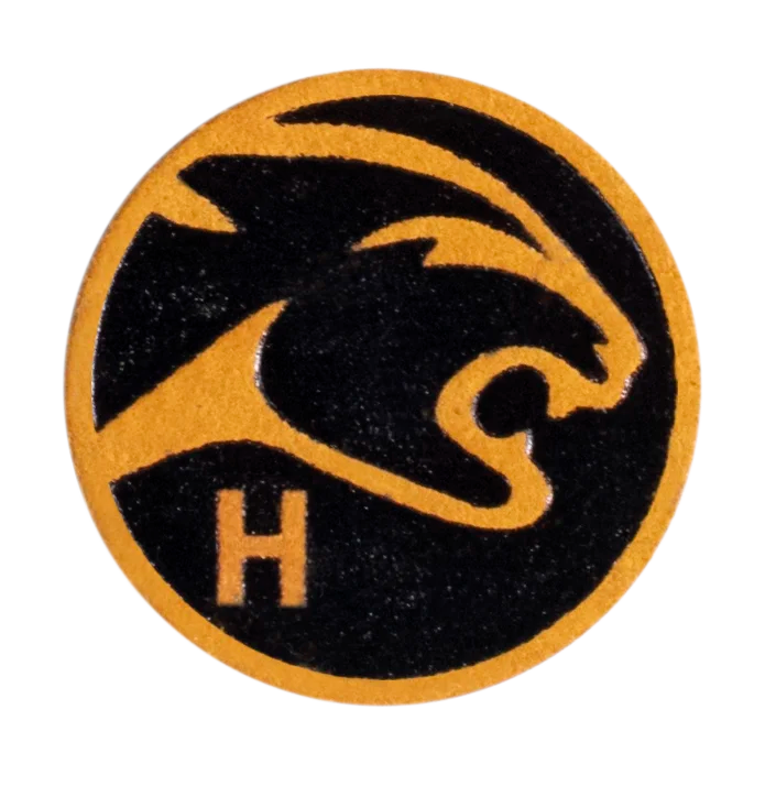 Predator Victory cue tip front with H hardness